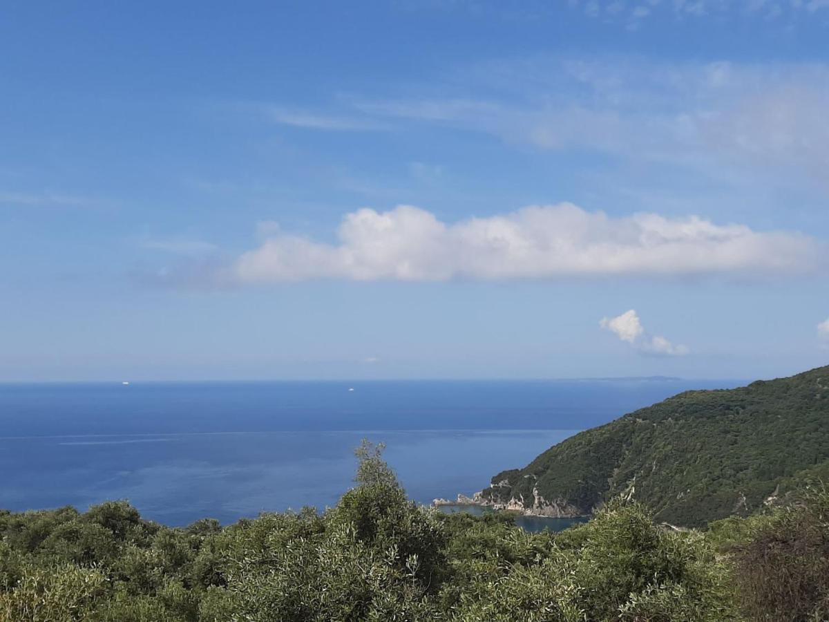 Zoe'S Studios Parga Exteriér fotografie